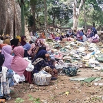Masyarakat di Desa Kembangbilo, Kecamatan/Kabupaten Tuban, dalam kegiatan sedekah bumi.