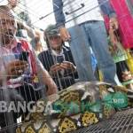 Ular sanca jadi tontonan warga. foto: rony suhartomo/ BANGSAONLINE