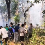 Personel kepolisian bersama petugas perhutani padamkan api yang melahap RPH Sidowayah Ngawi.