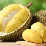 Apakah Durian Mengandung Kadar Kolesterol Tinggi? Ini Kata Ahli Gizi IPB dan UI. Foto: Ist
