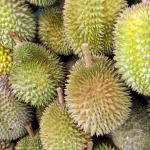 Ilustrasi buah Durian (pixabay/publicdomain)