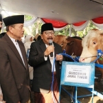 Gubernur Jawa Timur ditemani istri, menyerahkan hewan kurban kepada direktur Masjid Al- Akbar Surabaya.