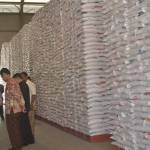 Tumpukan beras di gudang bulog Tuban. foto: suwandi/ BANGSAONLINE