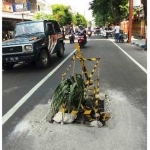 Bunga ini menjadi rambu agar pengendara roda dua menghindari jalur maut di jalan Letkol Sumardjo. foto: yudi eko purnomo/ bangsaonline