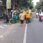 Tim DPUPR Kota Batu saat menginventarisasi pohon yang rawan tumbang