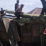 Warga Dusun Sumber Beringin, Desa Kalibarumanis, Kecamatan Kalibaru, Banyuwangi bersama para petugas membantu evakuasi pohon tumbang usai diterjang Hujan Deras dan Tertimpa Pohon.