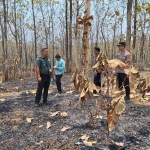 Kapolsek Kandangan AKP Wahyu Hariadi bersama anggota forkopimcam saat mengecek bekas kebakaran hutan. Foto: Ist. 