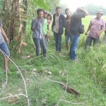 Mortir yang ditemukan warga saat menggali tanah untuk menguburkan sapinya. Foto: RONY S/BANGSAONLINE