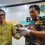 Kabid Litbang PP Bappeda Tulungagung, Ridwan, saat membuka paket dari Belanda yang berisikan replika tengkorak Fosil Homowajakensis. Foto: FERI WAHYUDI/BANGSAONLINE
