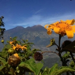 Gunung Arjuno dan Gunung Welirang dipotret dari Gunung Penanggungan. Foto: M. SULTHON NEAGARA/ BANGSAONLINE