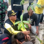 Wakil Wali Kota Malang, Sofyan Edi Jarwoko, saat menanam pohon pule di RW.02 RT 05 Kelurahan Bumiayu, Kecamatan Kedungkandang.