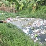 SARANG PENYAKIT: Sampah yang menyebarkan bau busuk karena menumpuk di bantaran sungai Ndukuh Desa Pagerwojo Kecamatan Buduran. foto: catur andy/ BANGSAONLINE