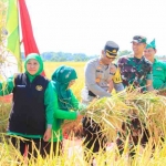 Khofifah Indar Parawansa dalam acara panen raya. Foto: humas pemprov jatim