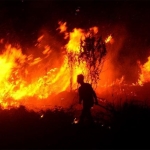 Warga saling gotong royong untuk memadamkan kebakaran hutan pinus di Sooko, Ponorogo.