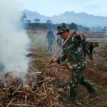 
Bersinergi, TNI bersama warga sedang kerja bakti massal.