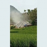 Rumah di Dusun Sumberlanas, Desa Telukjatidawang, Kecamatan Tambak, Pulau Bawean, yang ambruk akibat gempa. Foto: Ist
