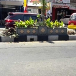 Bunga di median jalan kembali dibongkar BLH Gresik dengan dalih peremajaan. (foto: syuhud/ bangsaonline)