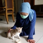 Gubernur Jawa Timur Khofifah Indar Parawansa bersama Moza, kucing yang  menemani selama isolasi mandiri. foto: instagram