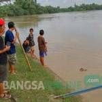 TERUS NAIK: Debit air Sungai Bengawan Solo di Bojonegoro. Pukul 17.00 WIB tadi (8/2) ketinggian air sudah siaga II. foto: eky nurhadi/ BANGSAONLINE