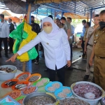 Gubernur Khofifah saat meninjau hasil tangkapan nelayan di Jember.