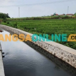 Plengsengan yang dibangun Pemkab Probolinggo dan dirasakan petani di Desa Clarak. Foto: ANDI SIRAJUDIN/BANGSAONLINE