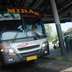 Petugas Dinas perhubungan sedang melakukan pemeriksaan armada bus. (foto: rony suhartomo/BANGSAONLINE)