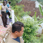Tim gabungan saat mengecek tanah retak yang sudah ditutup terpal di Dusun Kalibago, Desa Kalipang, Kecamatan Grogol, Kabupaten Kediri. foto: ist.