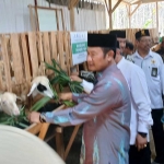 Bupati Yuhronur Efendi saat melihat kandang domba Baznas.