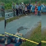 Petugas dan warga saat mengevakuasi Ponirin, Warga Nglegok, Kabupaten Blitar, yang tewas dililit ular.