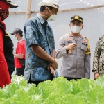 Kapolres Kediri Kota AKBP Eko Prasetyo saat mengunjungi tempat budi daya sayuran hidroponik di Kelurahan Banjarmlati. (foto: ist)