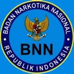 bnn