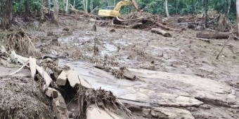 Tanggul Peternakan Sapi Greenfields Jebol, 6 Sapi Warga Hilang Terseret Aliran Lumpur Berbau Limbah