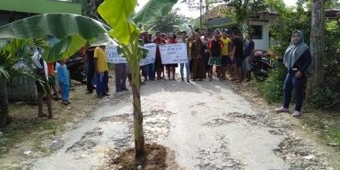 ​Tak Kunjung Diperbaiki, Warga Lima Dusun di Pamekasan Gelar Aksi Tanam Pohon Pisang di Jalan