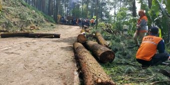 Cuaca dan Medan Jadi Kendala Pembersihan Material Longsor di Desa Tlogosari