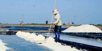 Produksi Garam Melimpah, Petani Garam Pamekasan Minta Stop Impor Garam