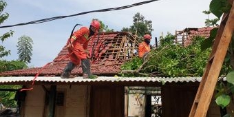 Diterjang Angin Kencang, Satu Rumah di Tuban Rusak Tertimpa Pohon