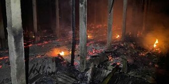 3 Ribu Ayam Mati Terpanggang Usai Kebakaran Melanda Kandang di Blitar