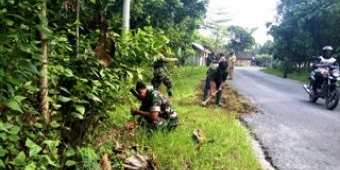 Ribuan Pohon Ditanam, Bojonegoro Ditargetkan Jadi Kawasan Hijau