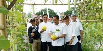 Festival Agro Pemkab Banyuwangi, Sulap Sawah 9 Hektar jadi Etalase Produk Pertanian Terluas