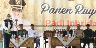 Panen Padi Inbrida, Bupati Blitar Dorong Peran Petani Milenial