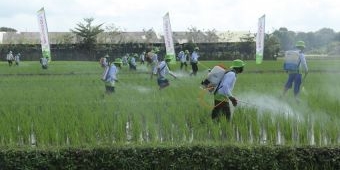 Kawal 13.099 Hektare Lahan di Indonesia, Petrokimia Grup Lakukan Pengendalian Hama