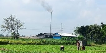 Pusing Hingga Sinusitis, Keluhan Kesehatan Warga Ngantup Kediri Dampak Limbah PT KTS