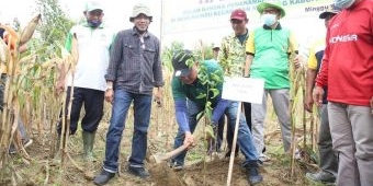 Olah Hasil Pertanian Jadi Produk Bernilai Jual Tinggi, Pemkab Tuban Gagas One Village One Product