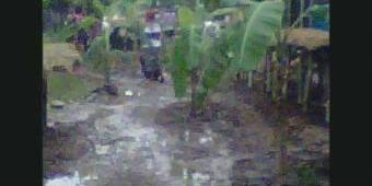 Rusak Parah, Warga Sukomoro Nganjuk Demo Tanam Pohon Pisang di Jalan