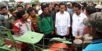 Jokowi Ancam Copot Menteri Pertanian