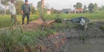 Temui Petani di Balongpanggang, Syahrul Disambati Beli Air untuk Irigasi 