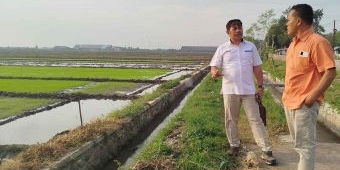 Pemerintah Naikkan Harga Gabah, Petani di Jombang Sumringah