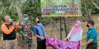 Antisipasi Longsor Susulan, Pegiat Lingkungan di Kabupaten Kediri Tanam Ficus di Lereng Gunung Kelud