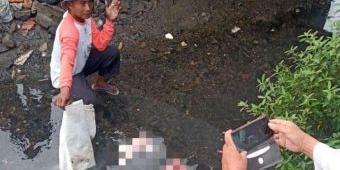 Usai Dilahirkan, Bayi Laki-Laki di Mojokerto Dibuang ke Sungai