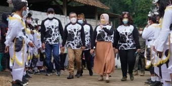 Festival Susu Sapi Brau 2021, Mantapkan Dusun Brau Sebagai Ikon Kota Wisata Batu